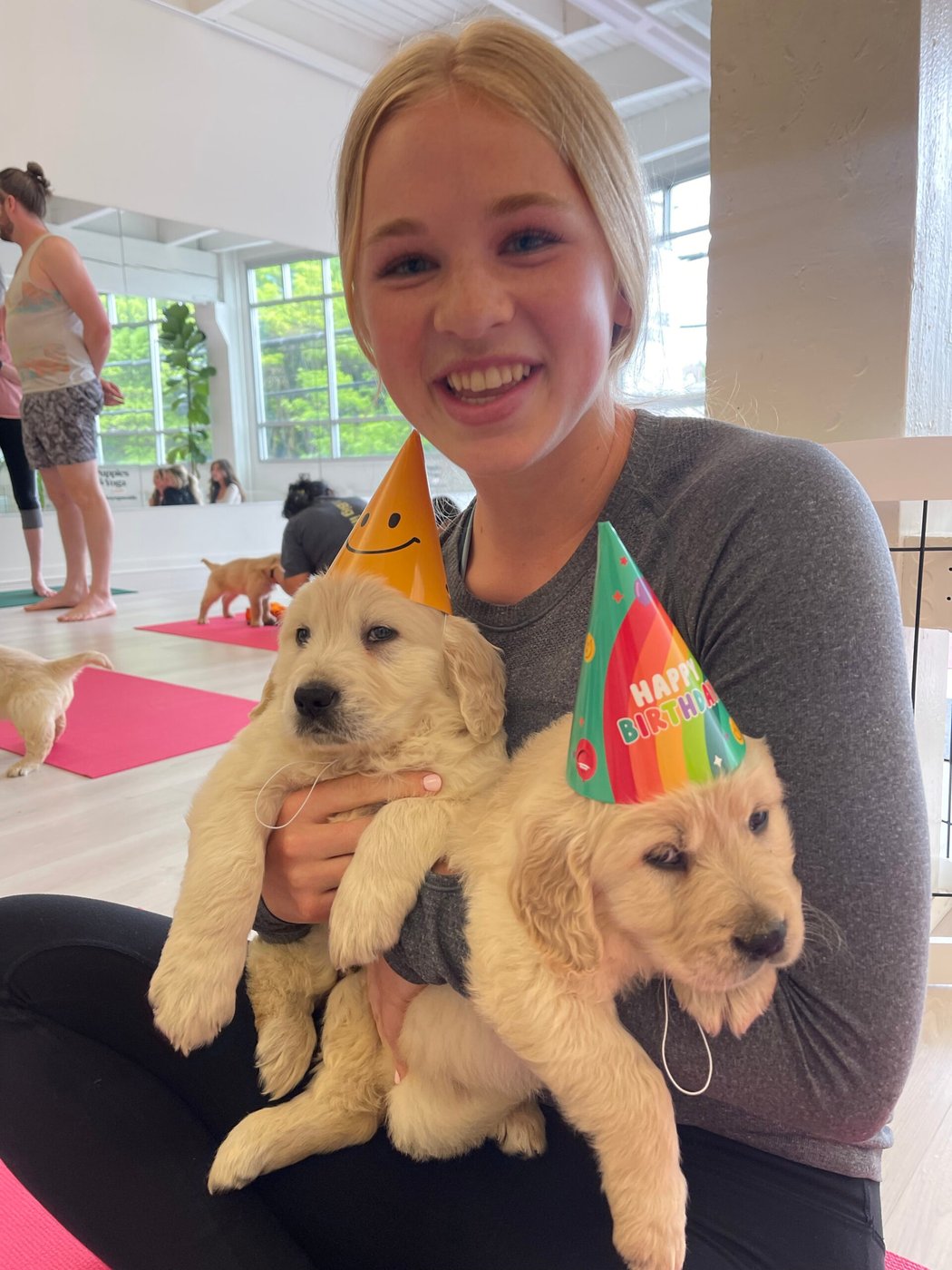 Golden Retriever puppies at Acres Pet Resort